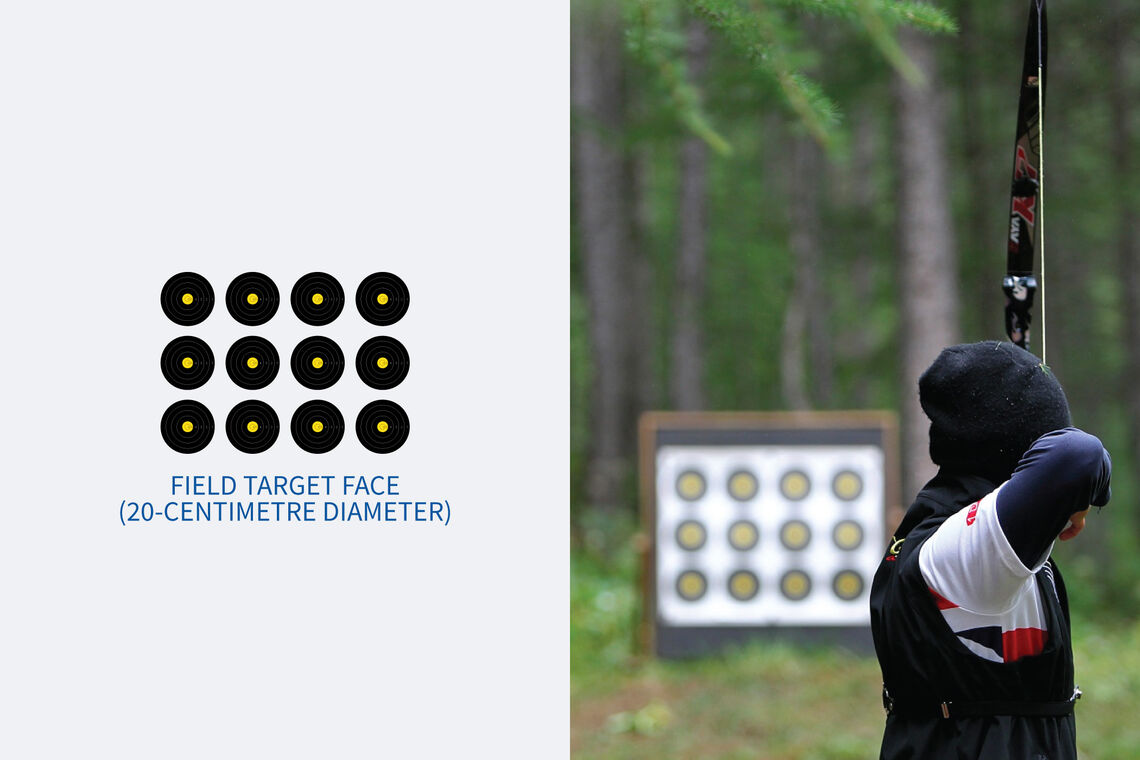 Diagram of a 20-centimetre field archery target face.