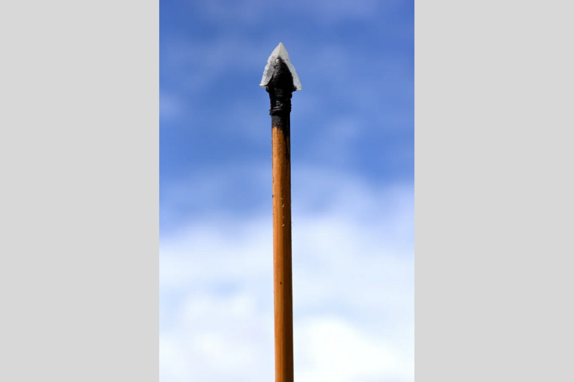 arrow shaft